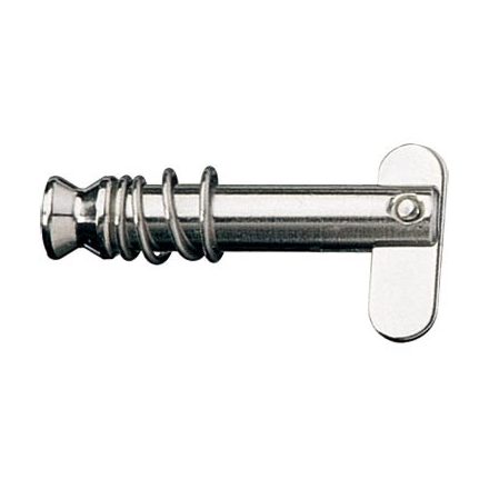 Papagáj stift 